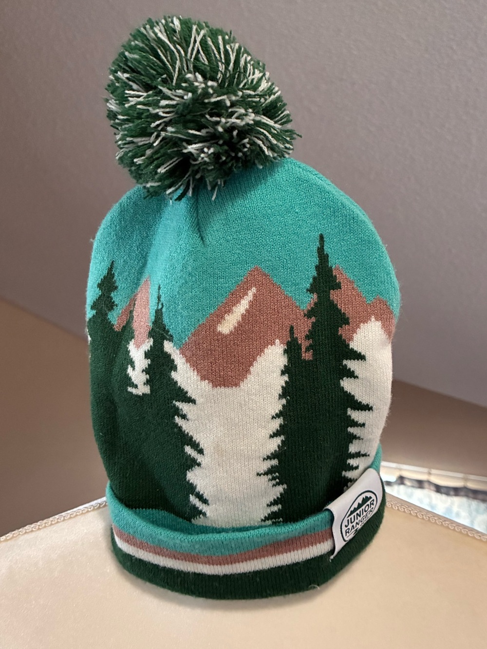 NPS Junior Ranger Mountain Scene Pom Pom Beanie in Teal & Forest Green